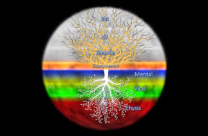 Mehr über den Artikel erfahren Gleichnis vom umgekehrten Ashvattha-Baum