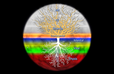 Umgekehrter Feigenbaum