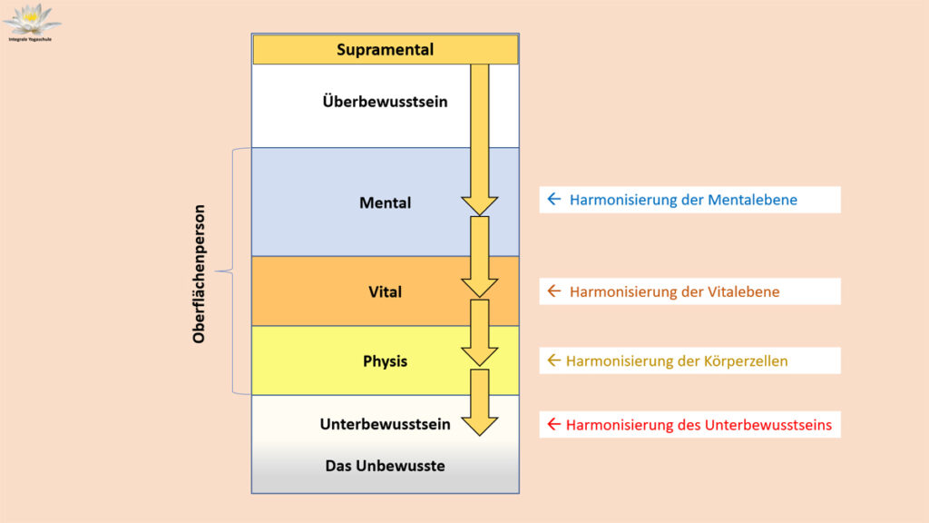 Grafik Harmonisierung von Mental, Vital, Physis und Unterbewusstsein